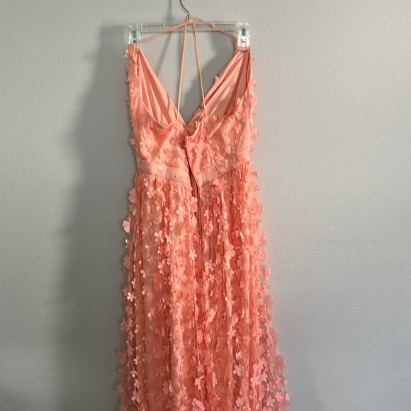 NWOT southern fried chics maxi dress. Never worn. - Picture 5 of 8